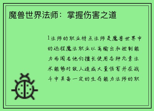 魔兽世界法师：掌握伤害之道
